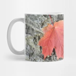 Single Mug